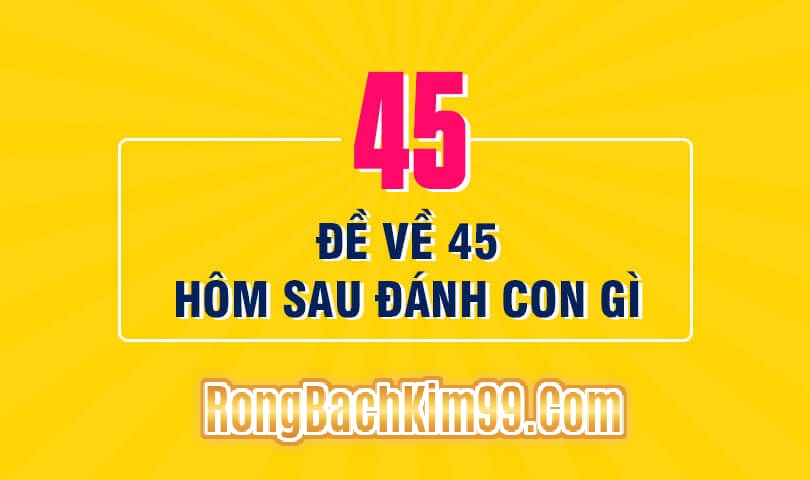 Đề ngày hôm nay về 45 có nghĩa là gì