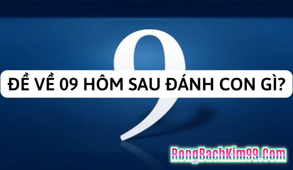 Đề ngày hôm nay về 09 có nghĩa là gì