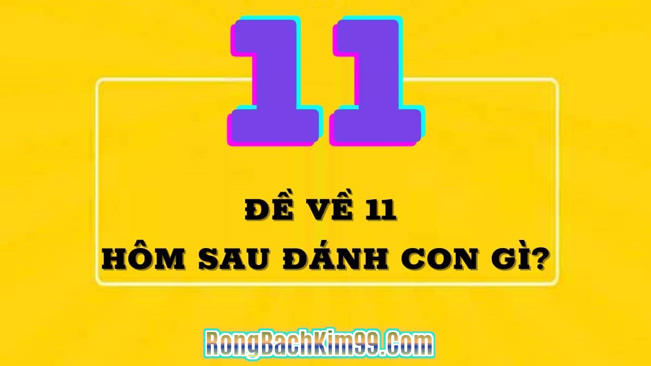 Đề ngày hôm nay về 11 có nghĩa là gì