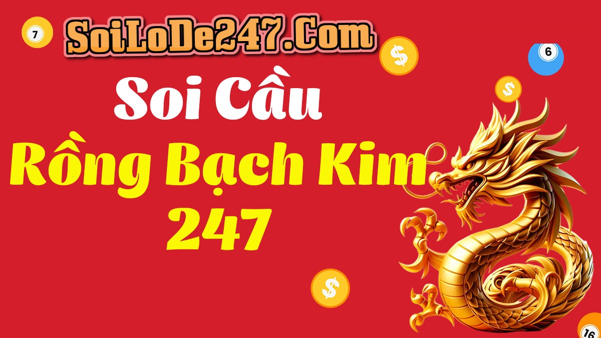 soi cầu 247 chính xác 100 rồng bạch kim