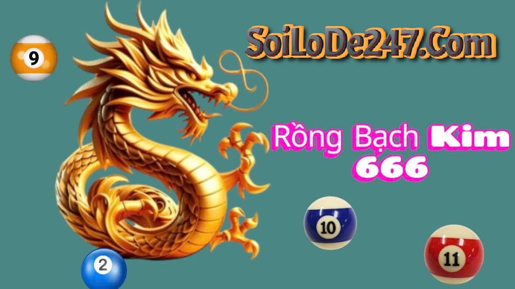 Soi cầu 666 Rồng Bạch Kim hôm nay