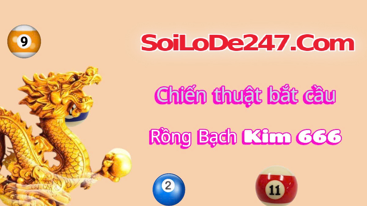 phương pháp soi cầu rồng bạch kim 666 miền Bắc