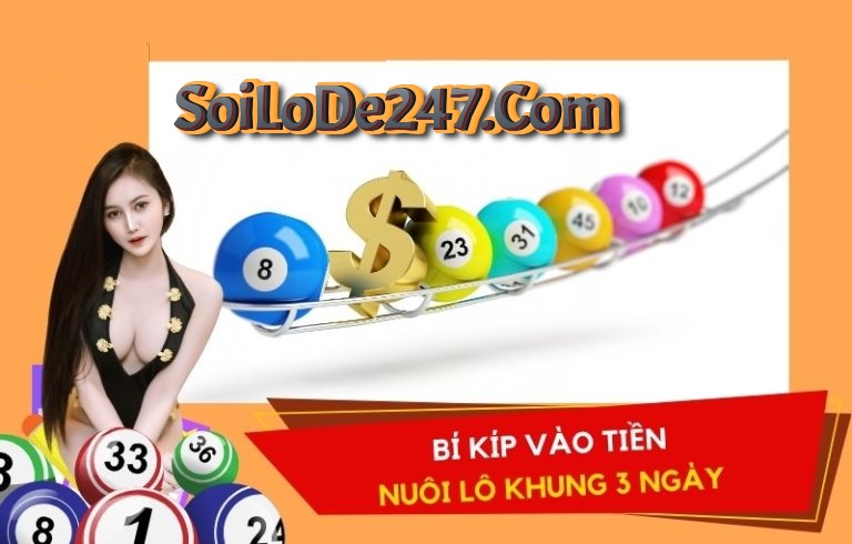 vào tiền nuôi lô khung 3 ngày hiệu quả