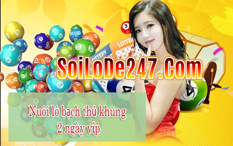 xu hướng lô bạch thủ khung 2 ngày