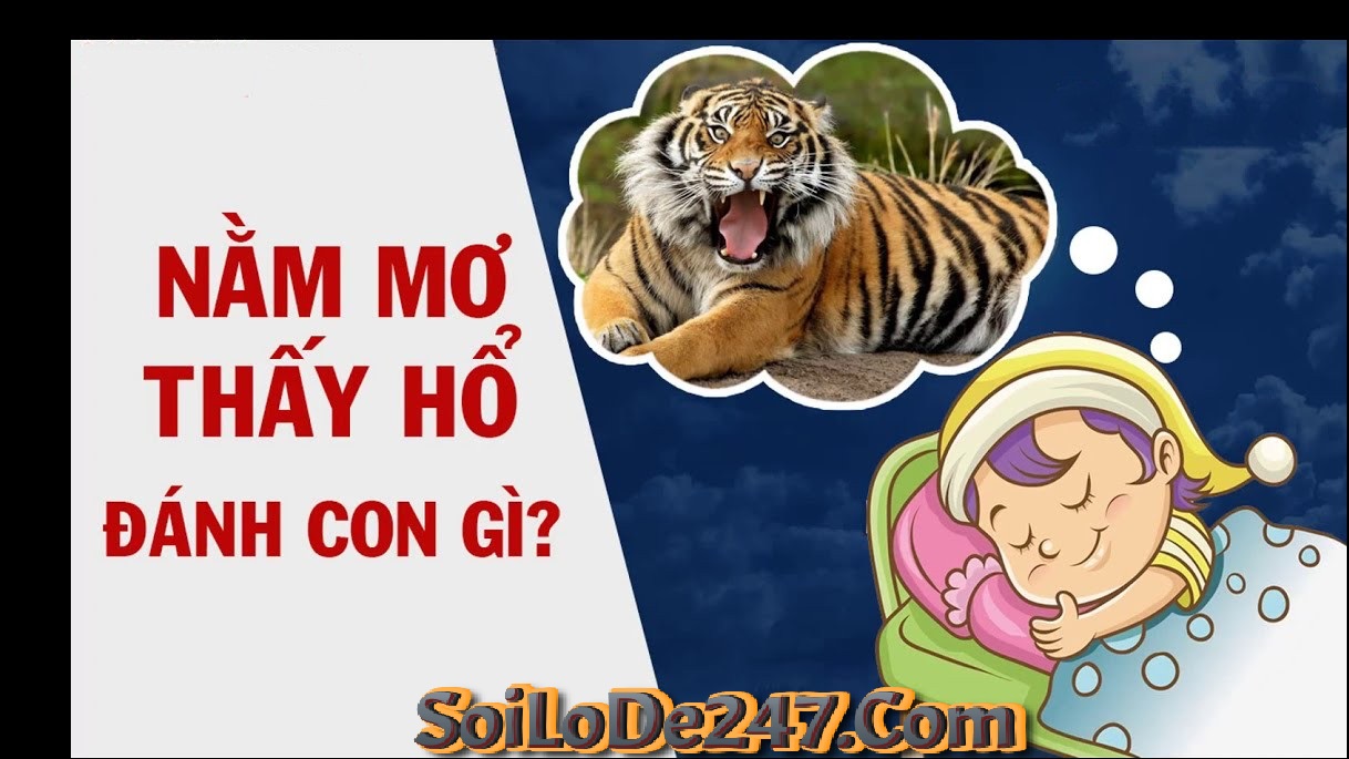 Chiêm bao thấy con hổ trong phong thủy