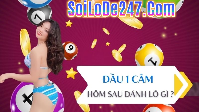 Dự đoán đầu 1 câm hôm sau đánh con gì