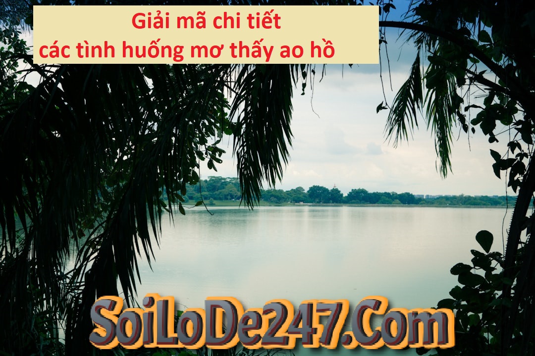 Giải mã chi tiết các tình huống mơ thấy ao hồ