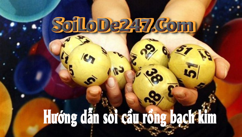 Hướng Dẫn Chi Tiết Cách Soi Cầu Rồng Bạch Kim
