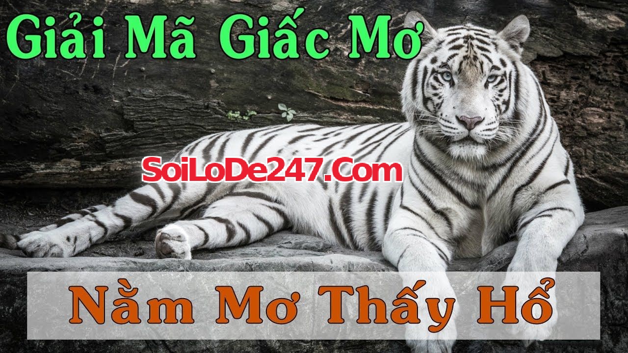 Mơ Thấy Con Hổ