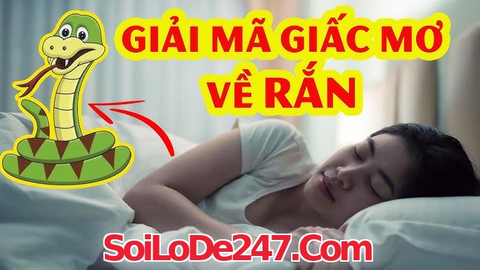 Mơ thấy con rắn nên đánh đề số nào
