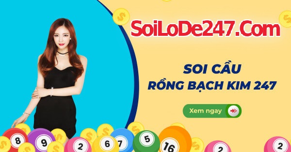 Phương pháp soi cầu 247 rồng bạch kim hiệu quả