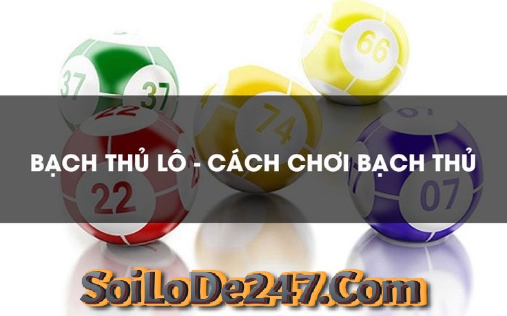 Quy trình chọn bạch thủ lô