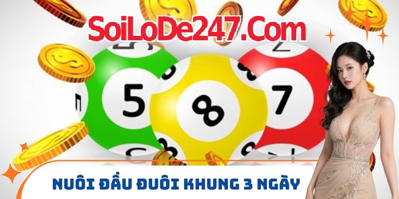 chuẩn bị cần thiết trước khi bắt đầu Nuôi Chạm Đầu Đuôi Khung 3 Ngày