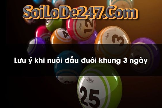 lưu ý quan trọng Nuôi Chạm Đầu Đuôi Khung 3 Ngày