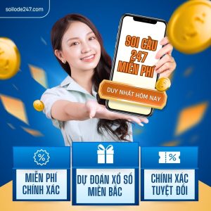 Soi cầu 247 không đơn thuần là một website cung cấp những con số ngẫu nhiên, mà là một hệ sinh thái phân tích dữ liệu xổ số miền Bắc toàn diện