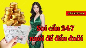 Phương pháp Soi cầu 247 nuôi đề đầu đuôi đang trở thành chiến thuật đầu tư đỉnh cao.