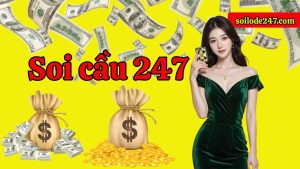 Soi cầu 247 cho người mới bắt đầu hiện là cẩm nang số học được tìm kiếm nhiều nhất.