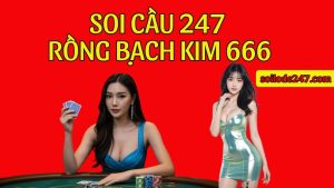 Hệ thống Soi cầu 247 rồng bạch kim 666 là công cụ hỗ trợ tuyệt vời, mang lại các dữ liệu khoa học rõ ràng trước giờ quay thưởng.