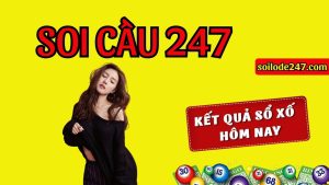 Kỹ thuật bắt lô rơi từ chuyên gia Soi cầu 247 là một công cụ hỗ trợ tuyệt vời.