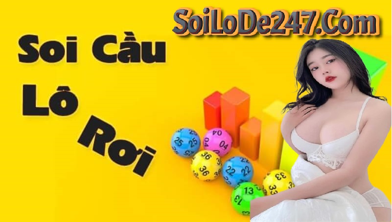 Lô Rơi Hôm Nay 247
